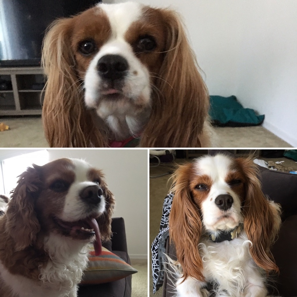 Meet your Posher, Nicole